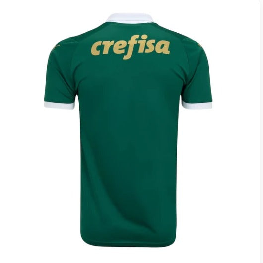 Camisa Palmeiras, Temporada 24/25