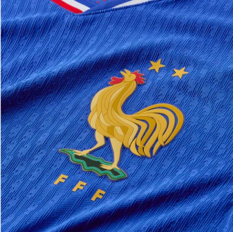 Camisa França, Temporada 24/25 Jogador